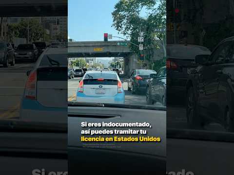 Si eres indocumentado, así puedes tramitar tu licencia en Estados Unidos