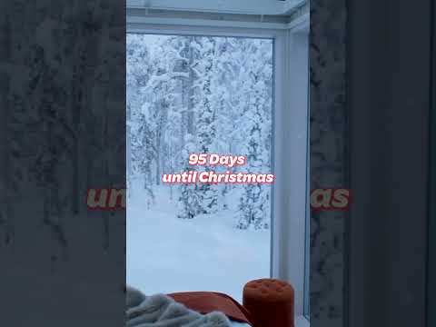 95 Days Until Christmas! ❄️ Let it snow, let it snow, let it snow 🎶 #christmas #christmascountdown