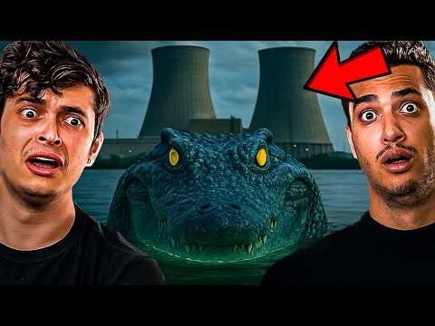 Por Que Crocodilos Vivem Em Usina Nuclear?