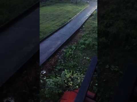 Peaceful night rain sounds 🌧️ #shorts