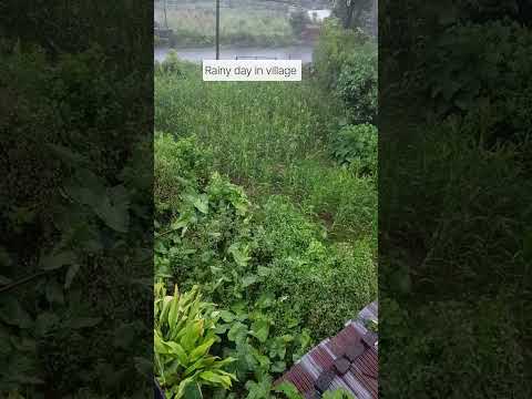 POV: A rainy day in a peaceful village 🏡🌧️ #shorts