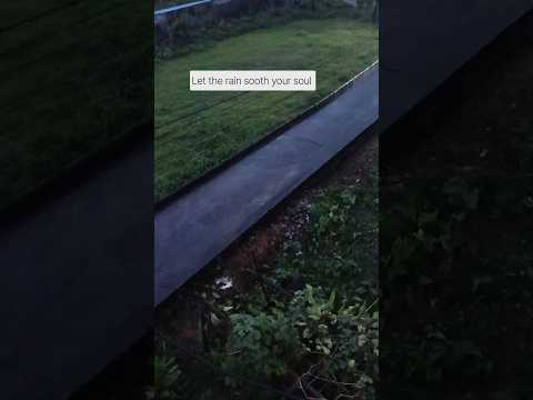 POV: You have nowhere to be and it’s raining 🌧️"