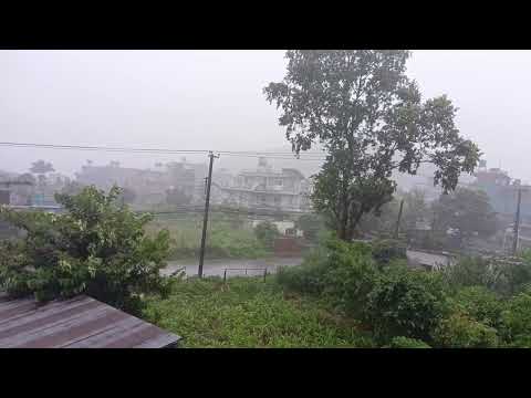 Listen to This for 2 Minutes to Fall Asleep Fast (Heavy Rain Sounds