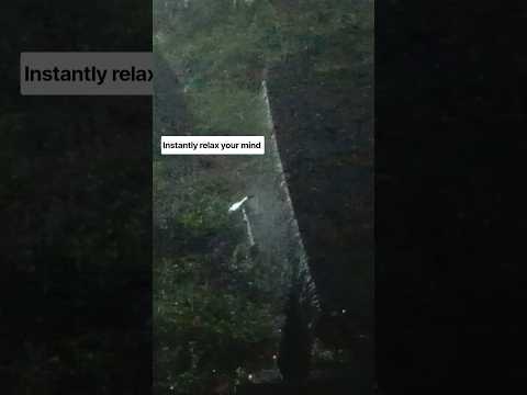🌧️ POV: This night rain sound will fix your sleep schedule 🌧️💤 #shorts
