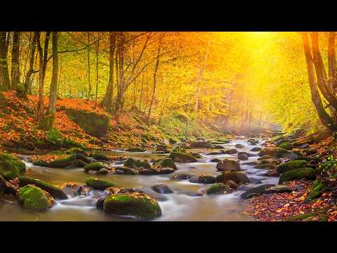 Beautiful Relaxing Piano - Soothing Music, Autumn Melodies for Stress Relief, Relaxing Sleep Music