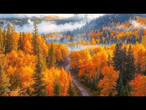 "September's First Autumn Leaves" Beautiful Relaxing Music 🍁 Autumn Melodies for Stress Relief