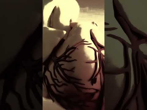 Medusas de Nomura  #terrorymisterio #miedo #relatosbizarros #horror #aterrador #datoscurisos