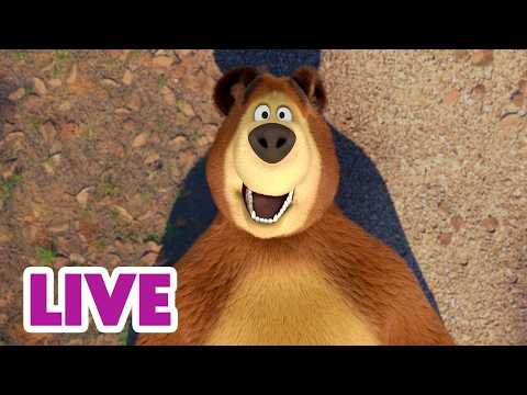 🔴 LIVE ⭐ Masha y el Oso 2026 🤭🤪 Maestro de bromas 🎬 Dibujos Animados en español