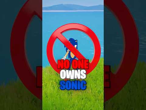Why NO ONE Owns The Sonic Skin…