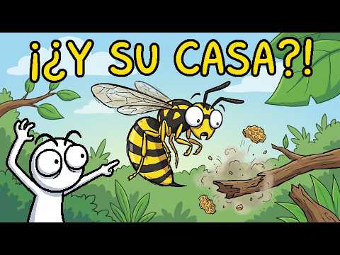 ¿Qué Ocurre Cuando Una Avispa Regresa A Casa Pero Su Nido Ha Desaparecido?