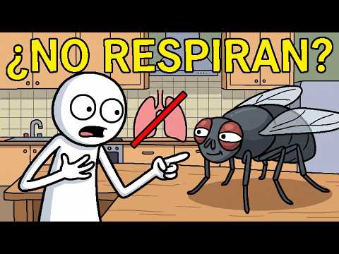 ¿Cómo RESPIRAN Realmente Los Insectos Si NO Tienen Pulmones?