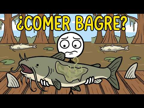 ¿Por Qué NUNCA Comemos Los Bagres Más Grandes?