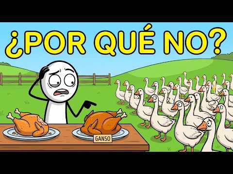 ¿Por Qué NUNCA Comemos Carne De Ganso Si Son Tan Fáciles De Criar?