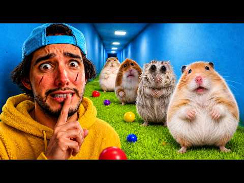 GUBI WUBIS EN LA VIDA REAL