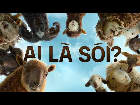 MỘT ĐÀN CỪU đóng vai THÁM TỬ thì sẽ ra sao? — THE SHEEP DETECTIVES (2026)