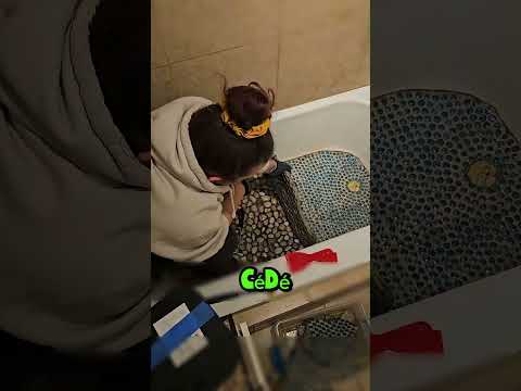 Pouruqoi elle a fait ca ?