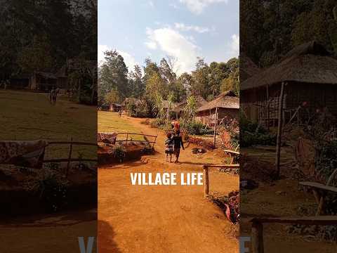 🌿 You Won’t Believe This Is Real! 😍 | Hidden Village Life #villagelife #nature #shorts