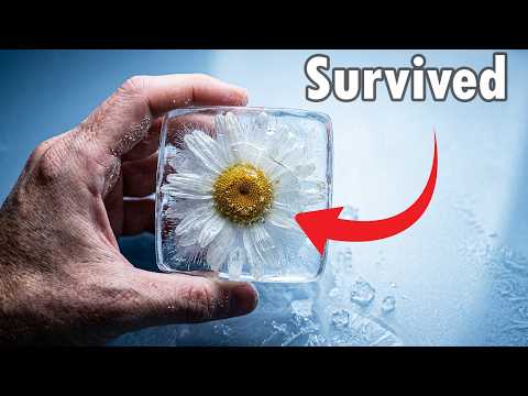 Why Freezing Things Keeps Them From Freezing