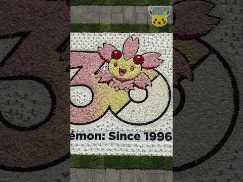 Pokémon Shorts - Making a Giant Pokémon Picture Using Flowers!  - #PokemonFunVideo #PokemonKidsTV​