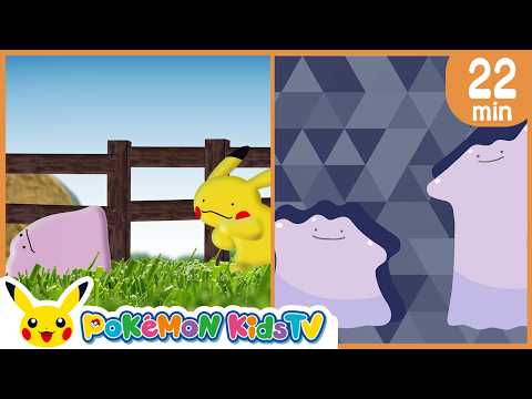 Ditto Collection | Pokémon Song | Original Kids Song | Pokémon Kids TV