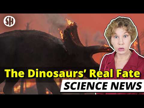 We Finally Know How the Dinosaurs Died. It Was Worse Than We Thought