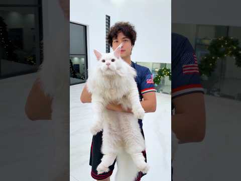 Surprising My Brother With The World’s Rarest Cat