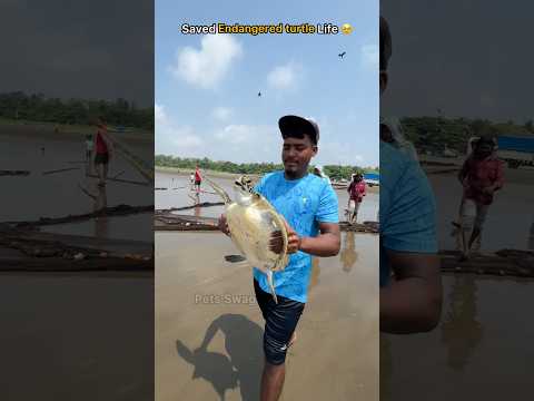 🐢 Saved endangered turtle from fishing net 🥹