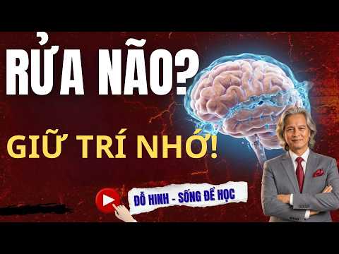 Trí tuệ giảm sút! Nguyên nhân? Cách tự phục hồi và duy trì minh mẫn | ĐỖ HINH - SỐNG ĐỂ HỌC