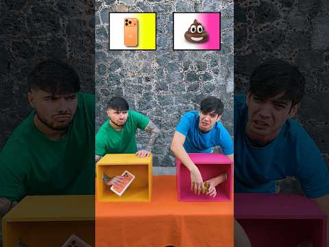 La Caja Correcta Tiene el Premio 🪳💰