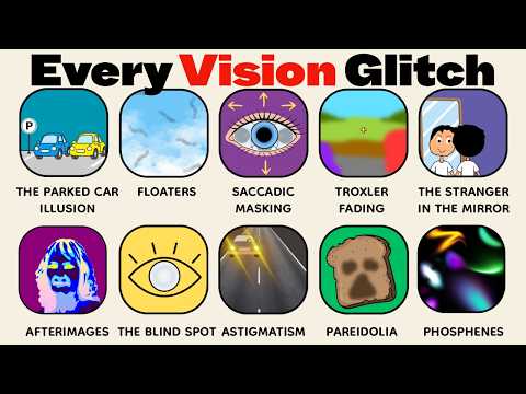 Every Vision Glitch Explained