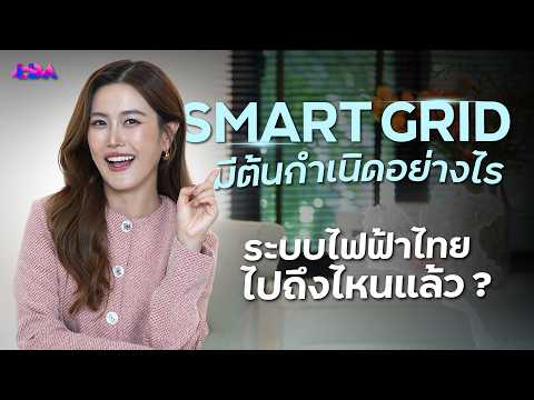 ระบบไฟฟ้าไทย ไปถึงไหนแล้ว? จุดเริ่มต้นของ Smart Grid | LDA World