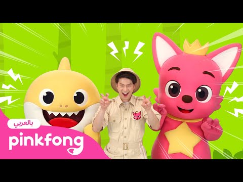 ديناصورات| بينكفونغ تمارين المعلم تونتون الحركية | Pinkfong Baby Shark