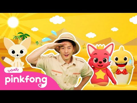 حيوانات الصحراء| بينكفونغ تمارين المعلم تونتون الحركية | Pinkfong Baby Shark