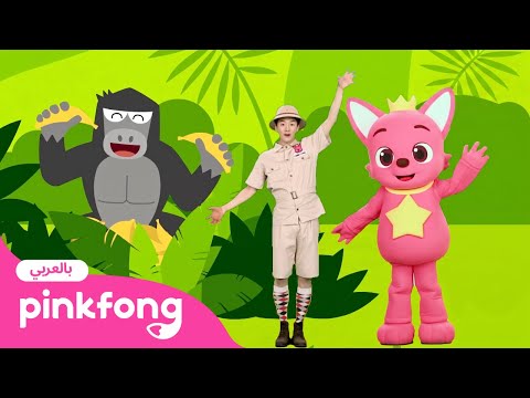 الغابة| بينكفونغ تمارين المعلم تونتون الحركية | Pinkfong Baby Shark