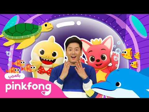 2 حيوانات البحر| بينكفونغ تمارين المعلم تونتون الحركية | Pinkfong Baby Shark