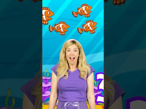 Count the fish, with Rachel 🐠