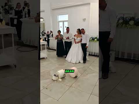 Istana yang mana pun itu, malah jadi makin parah! 🎂🎂 #viral #shorts