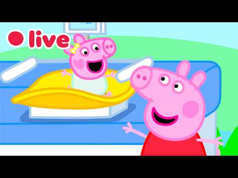 🔴 LIVE ⭐ Los mejores momentos de Peppa como hermana mayor de la Bebé Evie 🍼 | Episodios Completos