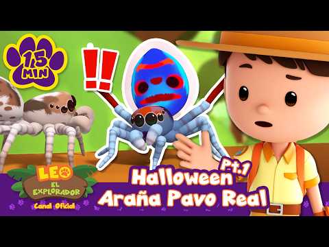 ¡Exploremos con la araña pavo real! Halloween: Parte 1 | Leo, El Explorador | Animación - Familia
