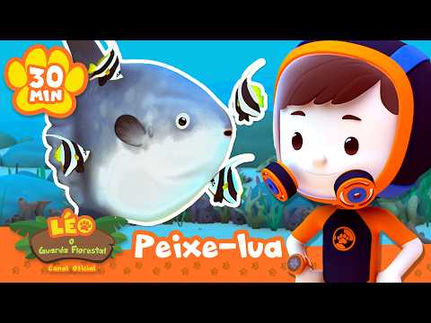 ¡Este pez tiene un festín listo para comer: EN SU PROPIA PIEL! | Leo, El Explorador | Animación