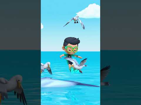 ¡A este pez le encanta TOMAR EL SOL! | Leo, El Explorador | Animación #shorts