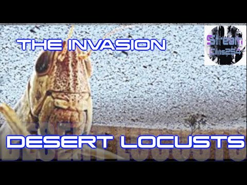 Locust Invasion
