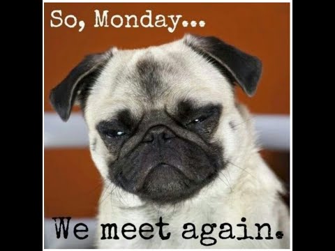 Funny Monday Blues memes 2020