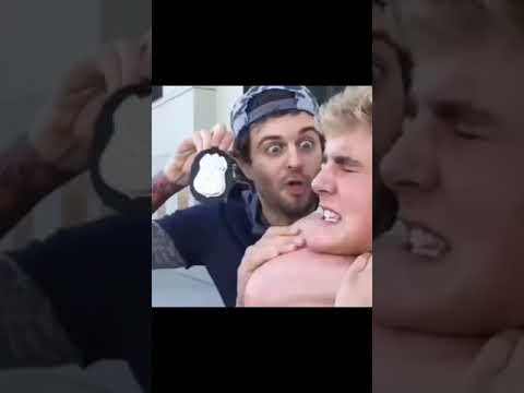 #shorts #Logan Paul #funny #comedy