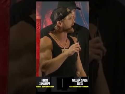 Logan Paul Forgot About CRYPTO ZOO 💀