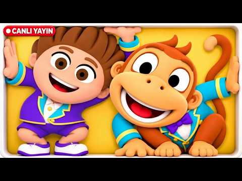 🔴 Kukuli Canlı | En Sevilen Çocuk Şarkıları ve Eğlenceli Klipler