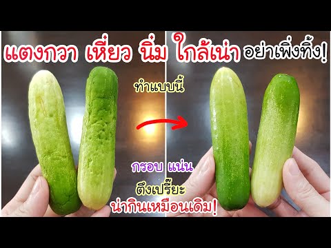ฟื้นคืนชีพ แตงกวา! แตงกวานิ่ม เหี่ยว อย่าเพิ่งทิ้ง💥 แค่ทำแบบนี้ ก็กลับมาตึงเปรี๊ยะ เหมือนเดิมแล้ว