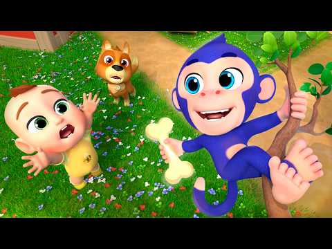 Eeny Meeny Miny Moe! Catch the Monkey! | Newborn Nursery Rhymes