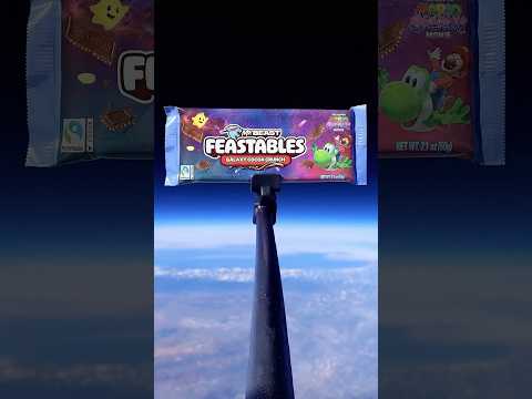 I Sent Feastables to Space