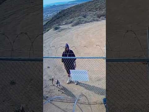 California has a Dog-Dumping Crisis.
